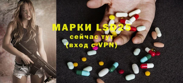 a pvp Алзамай