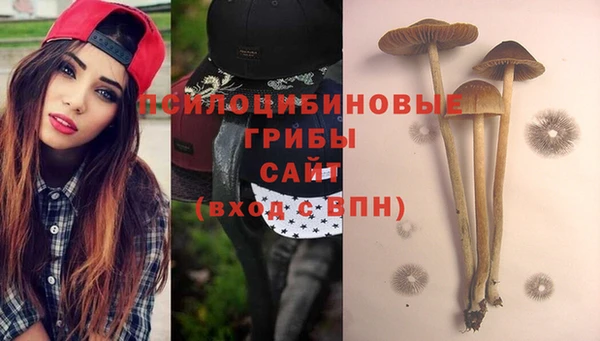 PSILOCYBIN Алексин